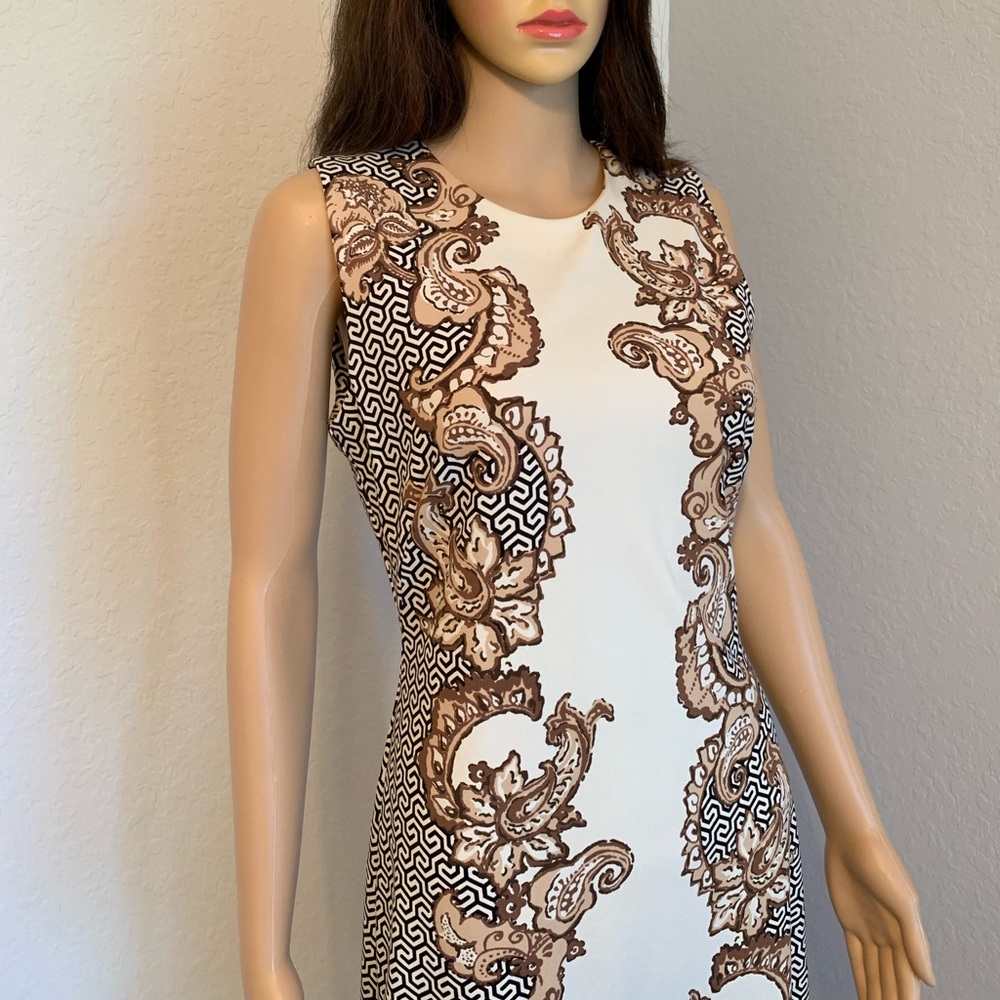 J. McLaughlin Dress (Size Small)